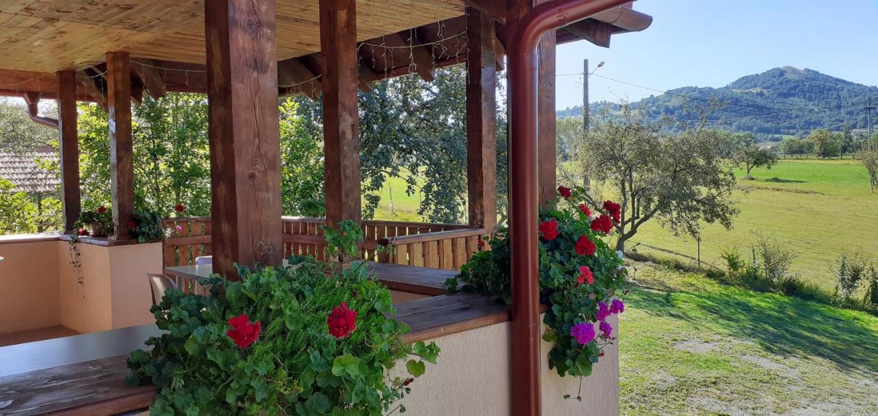 Pensiunea Agroturistica Ica Valea Draganului Ngoại thất bức ảnh